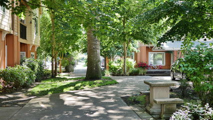 A peaceful condo apartment neighborhood setting with trees and sidewalk.