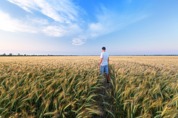 Fototapeta na wymiar man standing on wheat field / pre-dawn unusual clouds