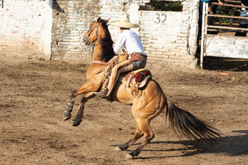 TRADICIONES MEXICANAS