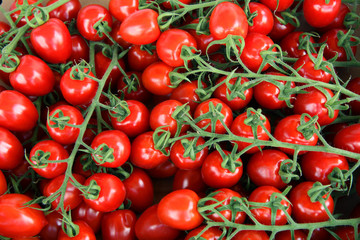 Delicious red tomatoes. Summer tray market agriculture farm full of organic vegetables