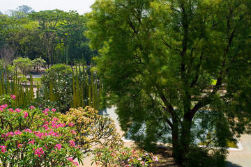 Obraz premium Jardín Ex Convento de Santo Domingo de Guzmán