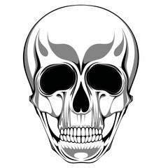 The image of a person's skull, which can be used for a tattoo, logo, and so on.