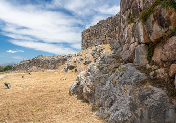 Fototapeta na wymiar Massive boulders form the walls of the fortress and palace of Tiryns in Greece