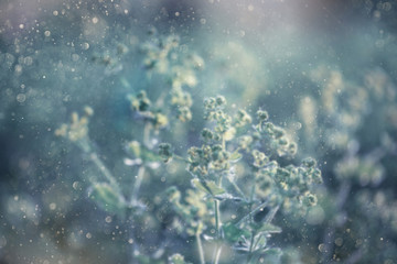 Summer blur background. Beautiful bokeh on the background, the rays of the sun. Summer mood. Tinted