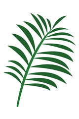 Tropical palm leaf nature cartoon