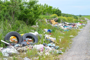 Garbage dump in nature. Environmental pollution.