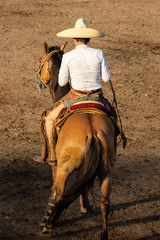 CHARROS