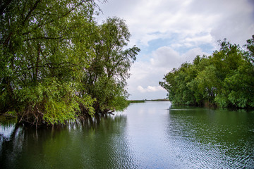 Danube Delta Landscape