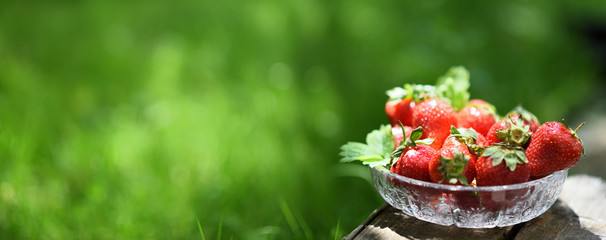Strawberries in crystal bowl, background banner, green grass, sunny day - obrazy, fototapety, plakaty