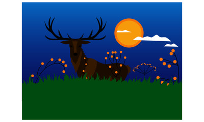 Deer standing on the meadow