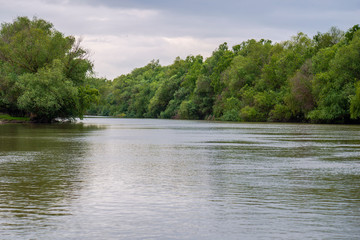 Fototapeta premium Delta Danube view