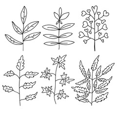 Floral elements set. Tree branches. Set of hand drawn doodle flowers. Vector illustration. 