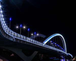 Pont Pasteur - Lyon