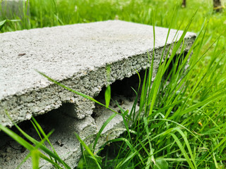 Obraz premium abandoned concrete brick in the middle of a green lawn