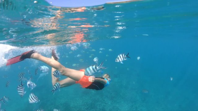 Split view of a woman snorkeling underwater at Felicite Island looking for scissortail sergeant fishes. African sea life of the Indian Ocean, under and above water. Seychelles Coral reef SLOW MOTION