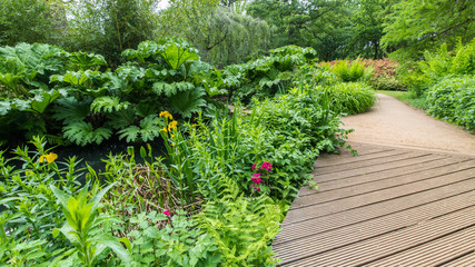 Path in the garden © darek34