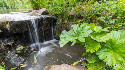 waterfall in the forest © darek34