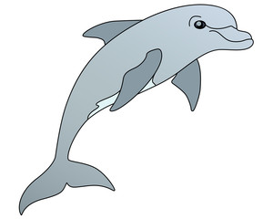 Fototapeta premium Dolphin is a marine mammal. Bottlenose dolphin - full color vector picture. Dolphins are inhabitants of the ocean.