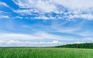 Field view, sky, clouds. Landscape. Horizon.