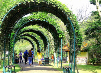 the hallway in flower garden nusantara bogor indonesia