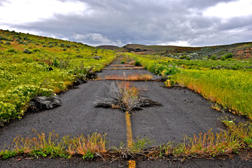 Abandoned narrow two land road with grass growing in the cracks, Eastern Oregon. Old highway 20...