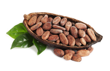Composition with cocoa beans on white background