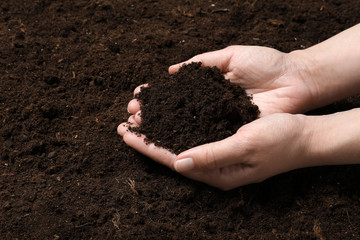 Woman holding fertile soil in hands, closeup. Gardening season