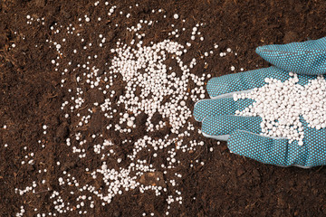 Woman fertilizing soil, closeup view. Gardening season