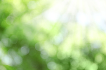 Naklejka na ściany i meble Blurred view of abstract green background. Bokeh effect