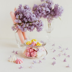 Purple spring lilac flowers still life on white