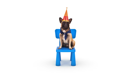 Dog Birthday Party. 3d rendering