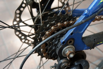 Fototapeta na wymiar Gears of a bicycle