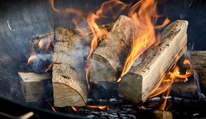 Recently lit fire with logs of flaming wood - Powered by Adobe