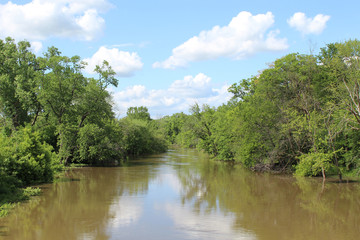 Fototapeta na wymiar Swollen Des Plaines River at Campground Road Woods