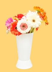bouquet of gerberas in a white vase isolated