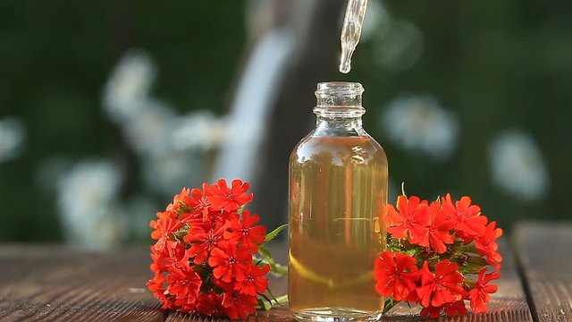 catchfly essential oil in  beautiful bottle on wooden background