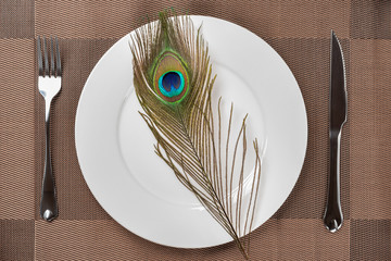 top view fork and knife and a peacock feather on a dish concept of eating inhuman wildlife animal