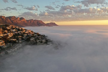 Lion's head during sunset with fog