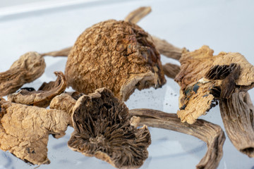 Mushrooms on tray