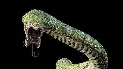 Toothy snake. 3d illustration © Dina