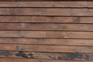 Obraz premium wood texture with natural pattern