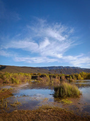 Lago en el decierto
