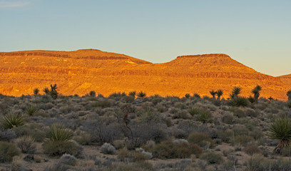 Alpenglow on Desert Ridges