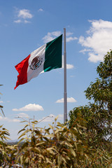 Mexican Flag waving in the wind
