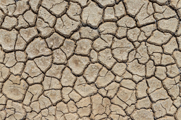 Brown dry soil or cracked ground texture background.