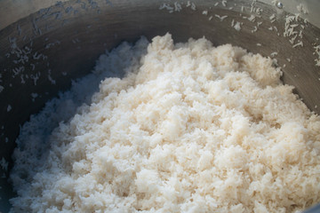 The newly cooked rice is cooked in the pot.