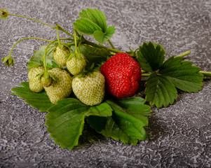 Sprig of strawberries with flowers green and red berries on a dark background place for advertising