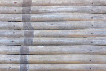 Obraz premium Close up old Bamboo litter, Pattern of old bamboo, Old bamboo textture blackgroung.