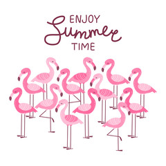 Pink flamingos isolated on white - summer greeting card