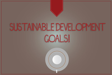 Writing note showing Sustainable Development Goals. Business photo showcasing Unite Nations Global vision for huanalysisity Coffee Cup Top View Reflection on Blank Color Snap Planner